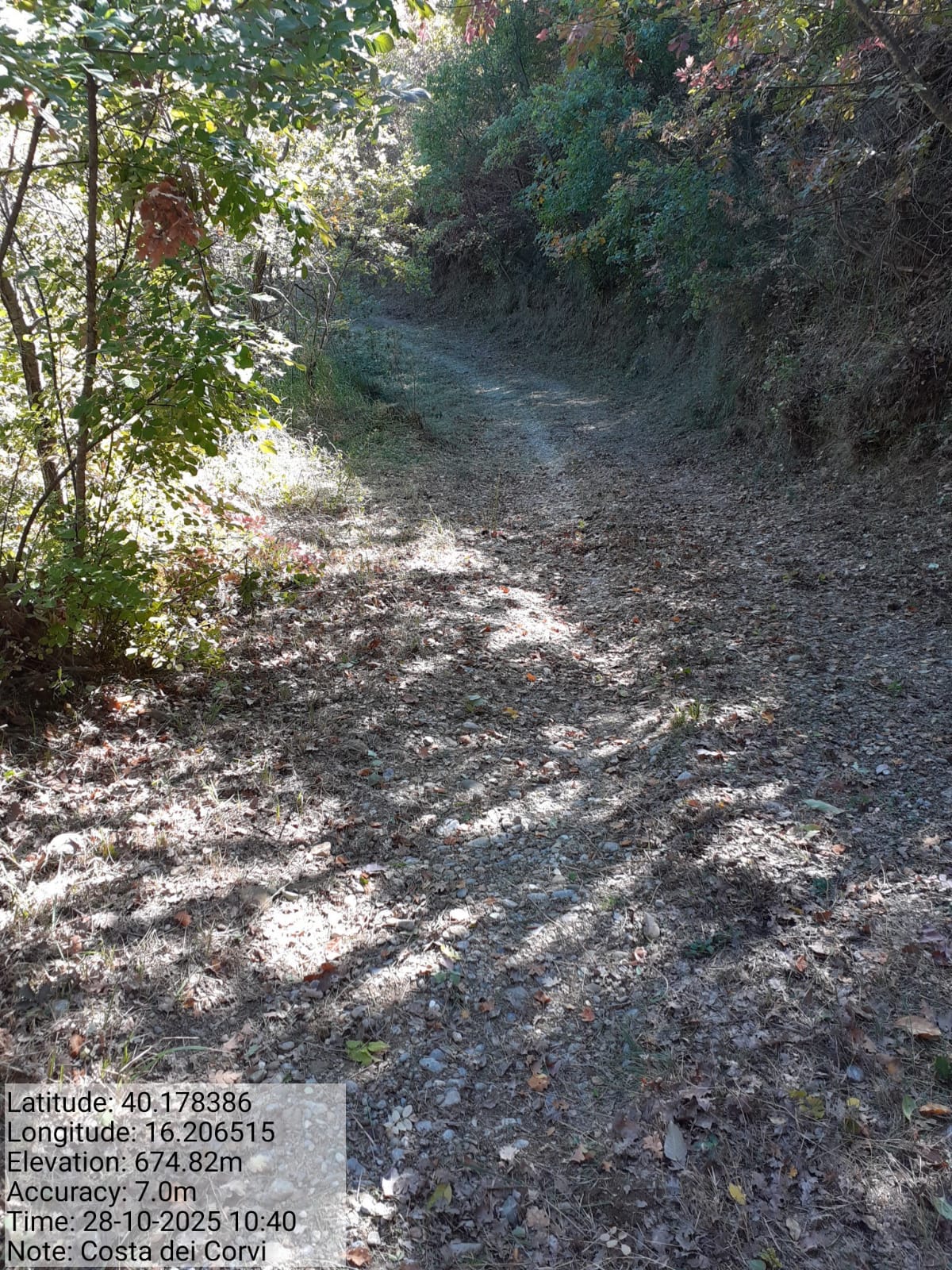 Galleria Fotografica Immagine