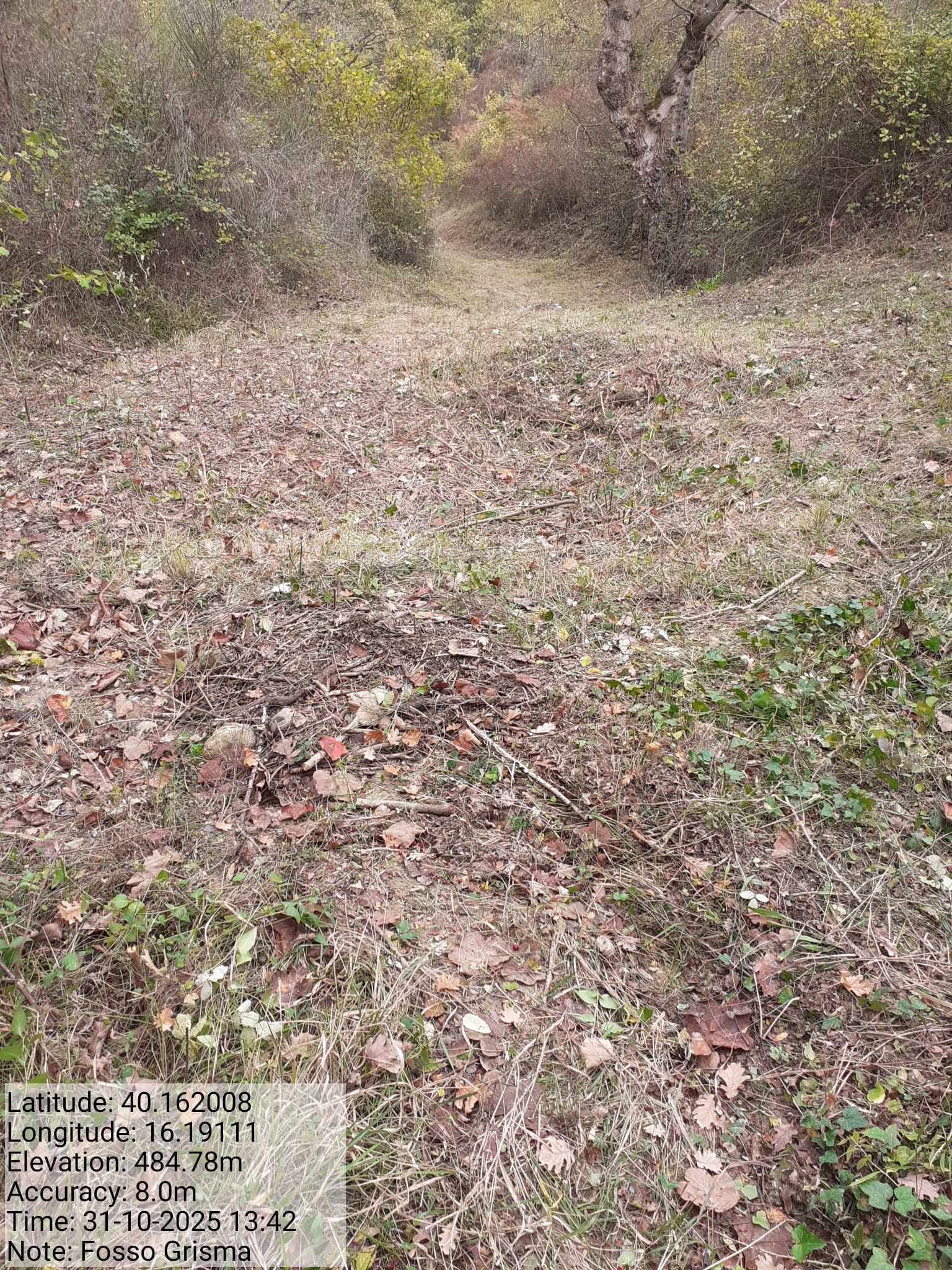 Galleria Fotografica Immagine