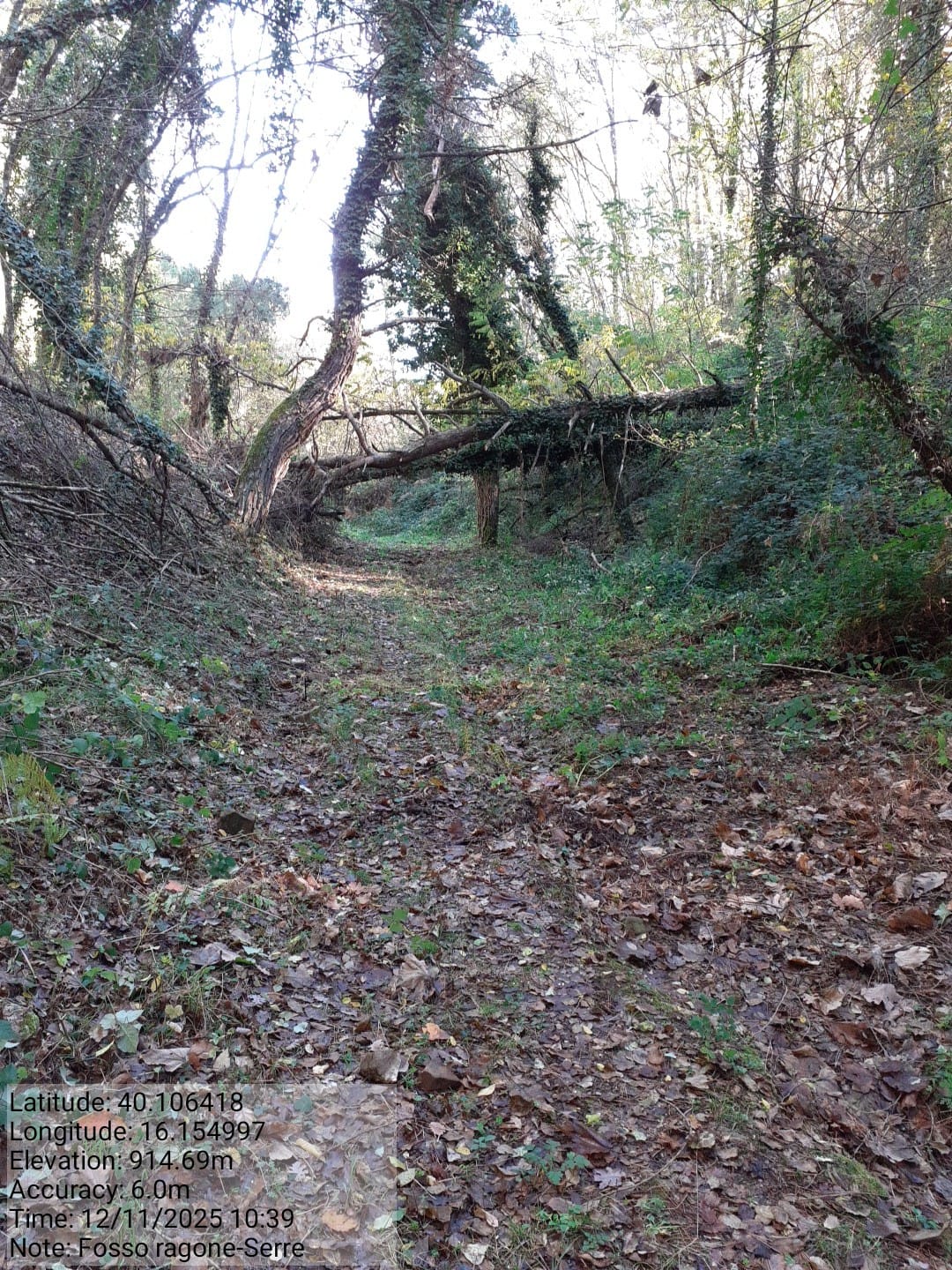 Galleria Fotografica Immagine