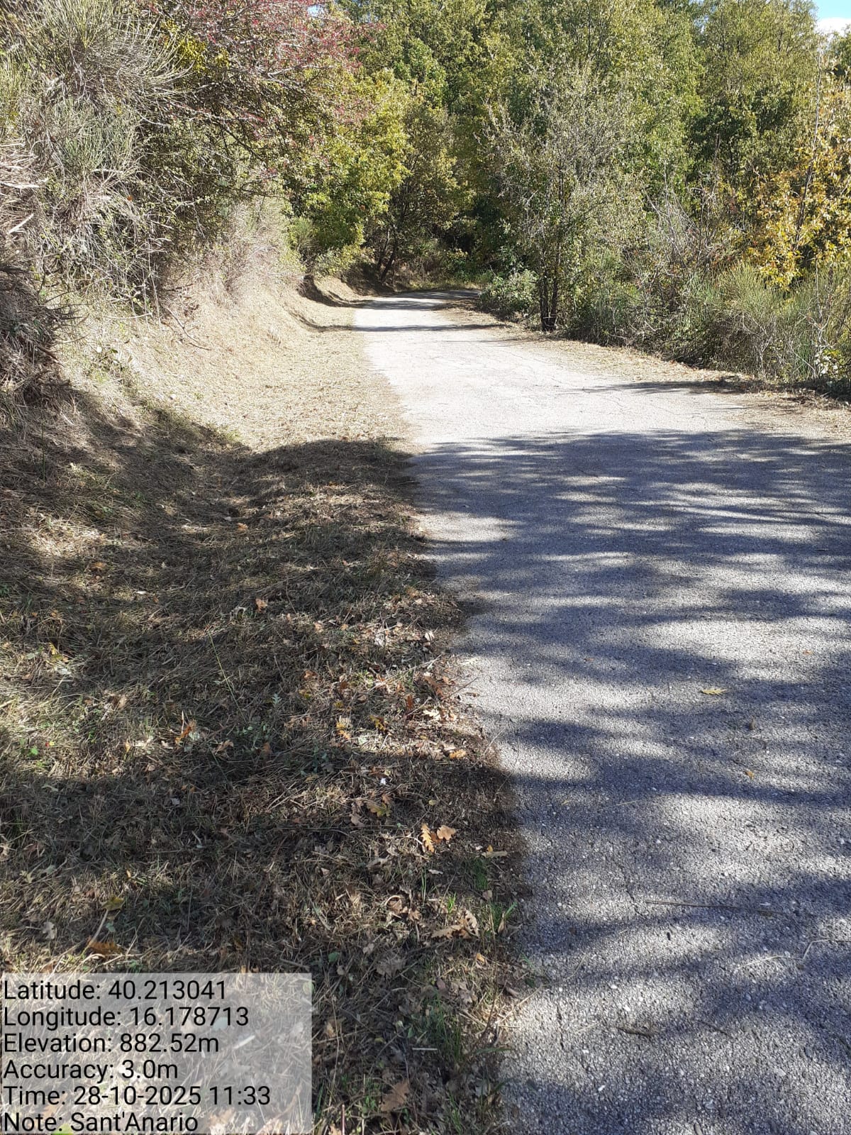 Galleria Fotografica Immagine