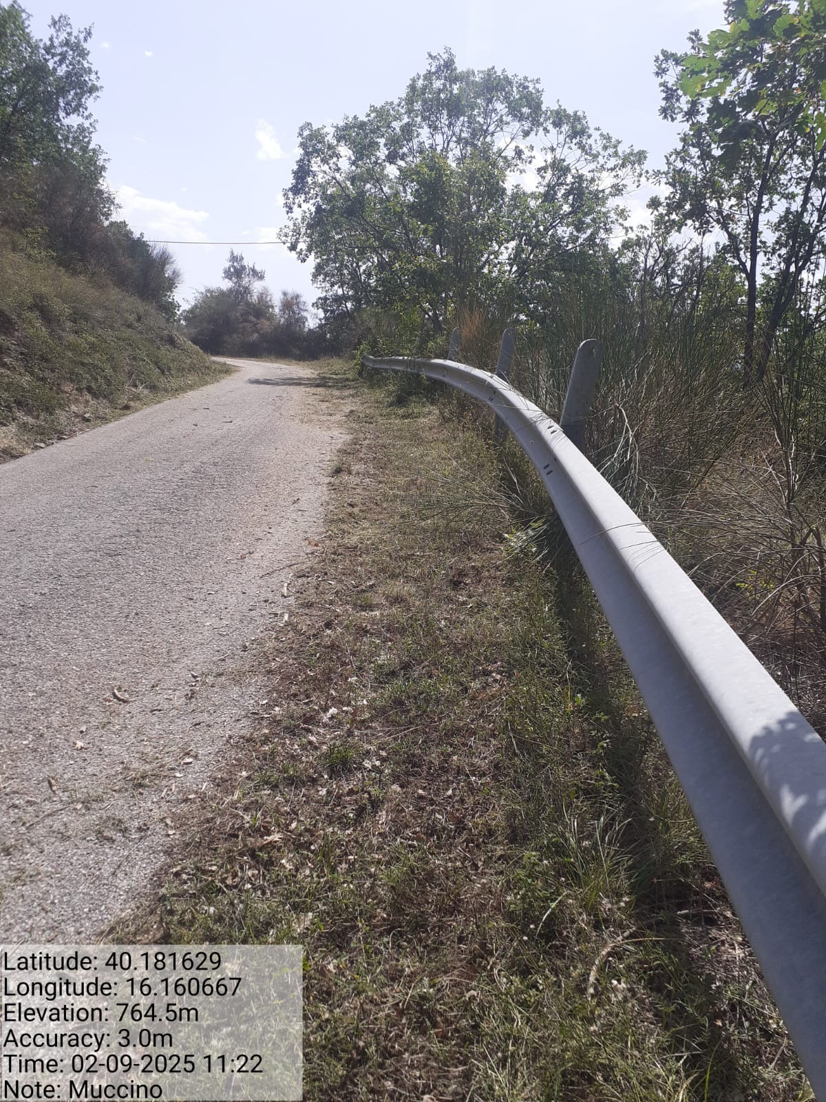 Galleria Fotografica Immagine