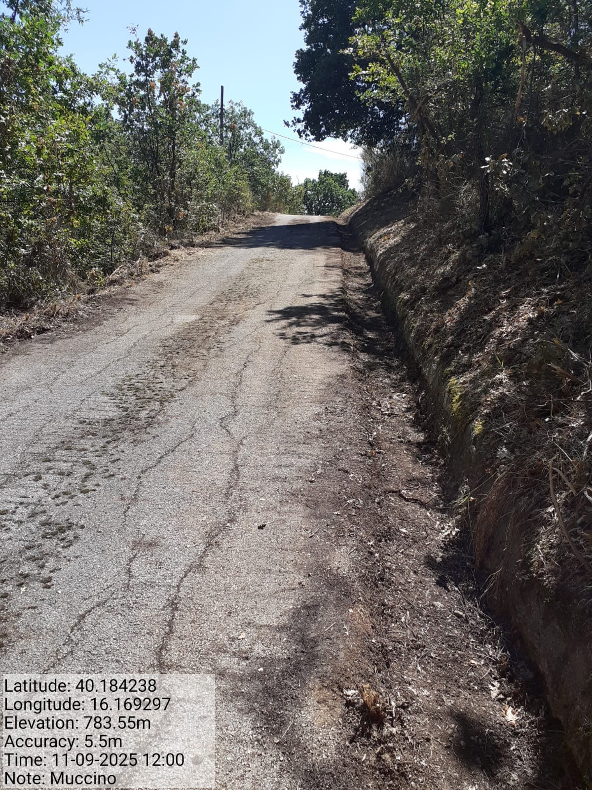 Galleria Fotografica Immagine