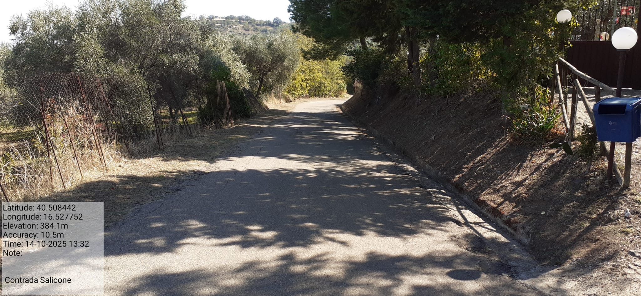 Galleria Fotografica Immagine