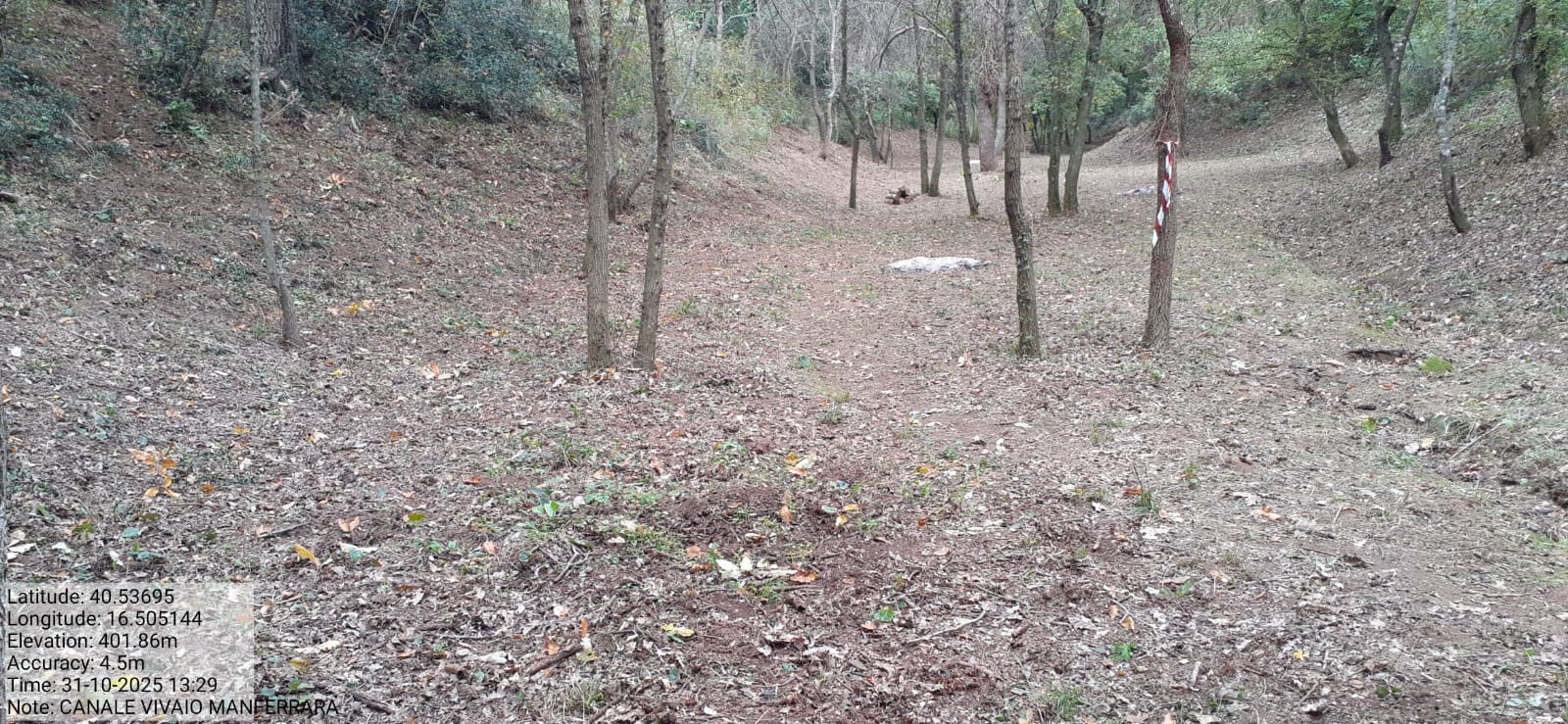 Galleria Fotografica Immagine