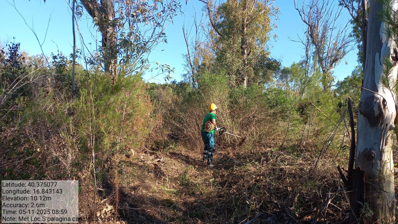 Galleria Fotografica Immagine