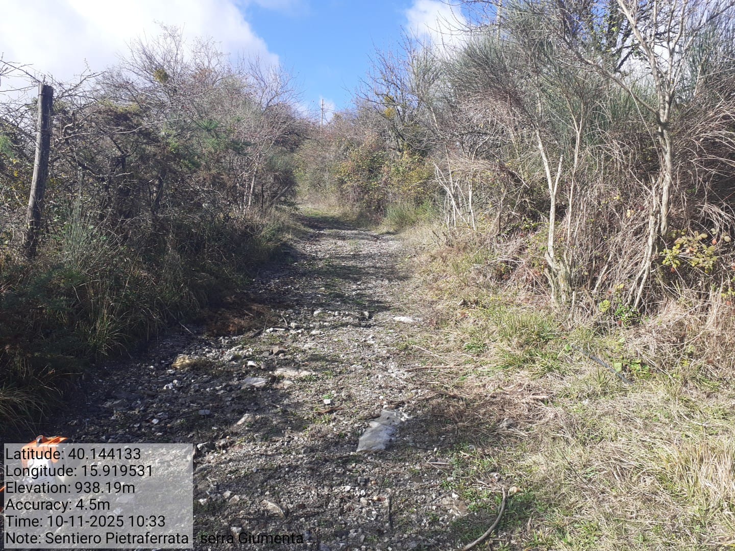 Galleria Fotografica Immagine