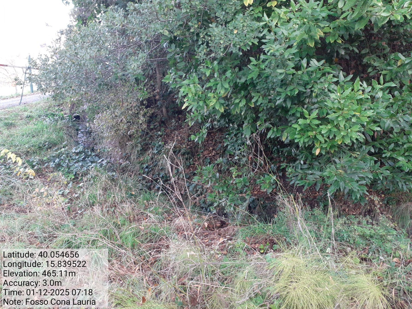 Galleria Fotografica Immagine