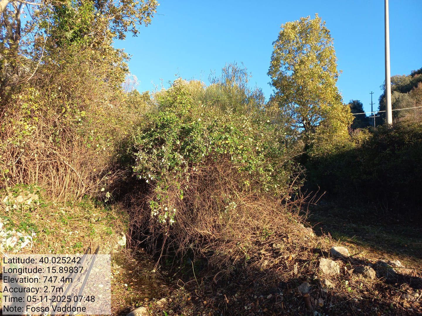 Galleria Fotografica Immagine