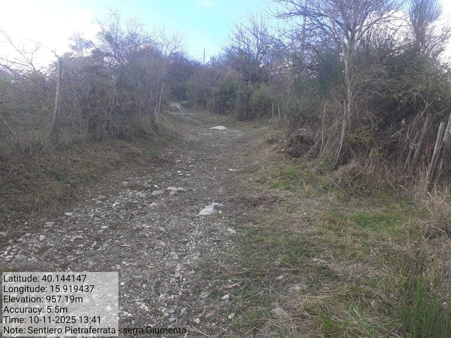 Galleria Fotografica Immagine