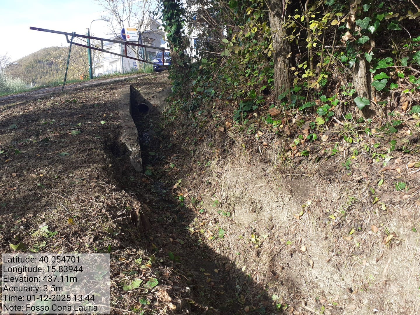 Galleria Fotografica Immagine