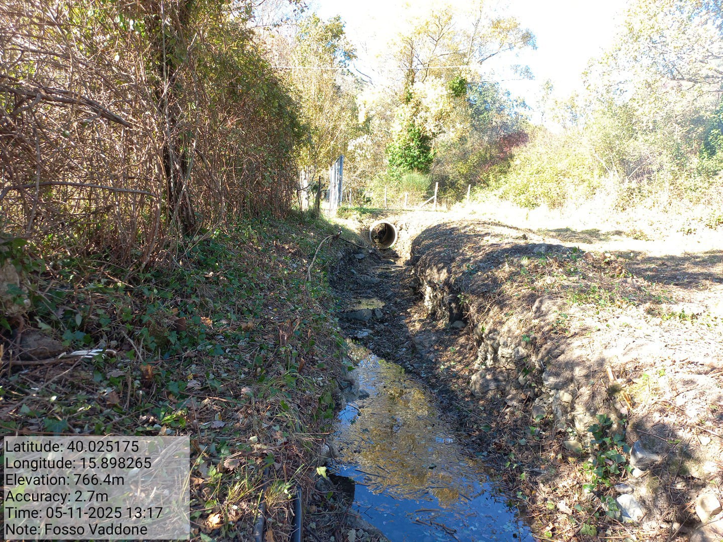 Galleria Fotografica Immagine