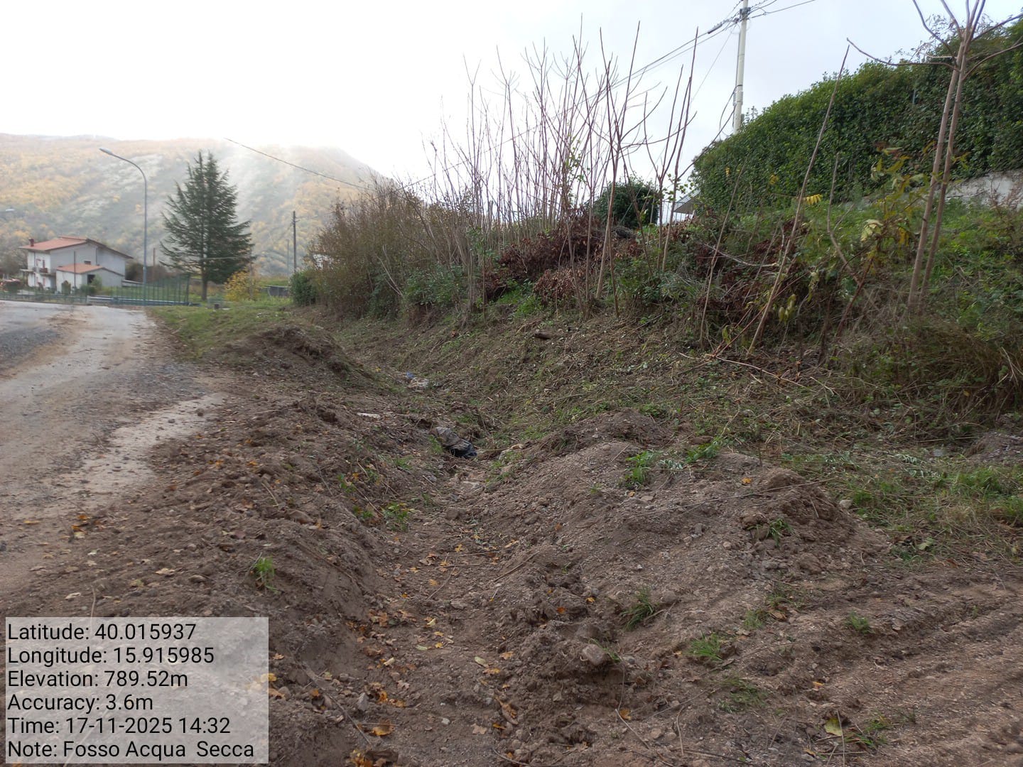 Galleria Fotografica Immagine