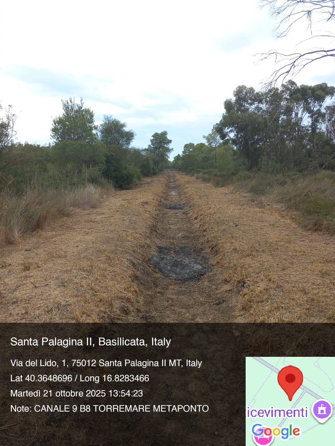 Galleria Fotografica Immagine