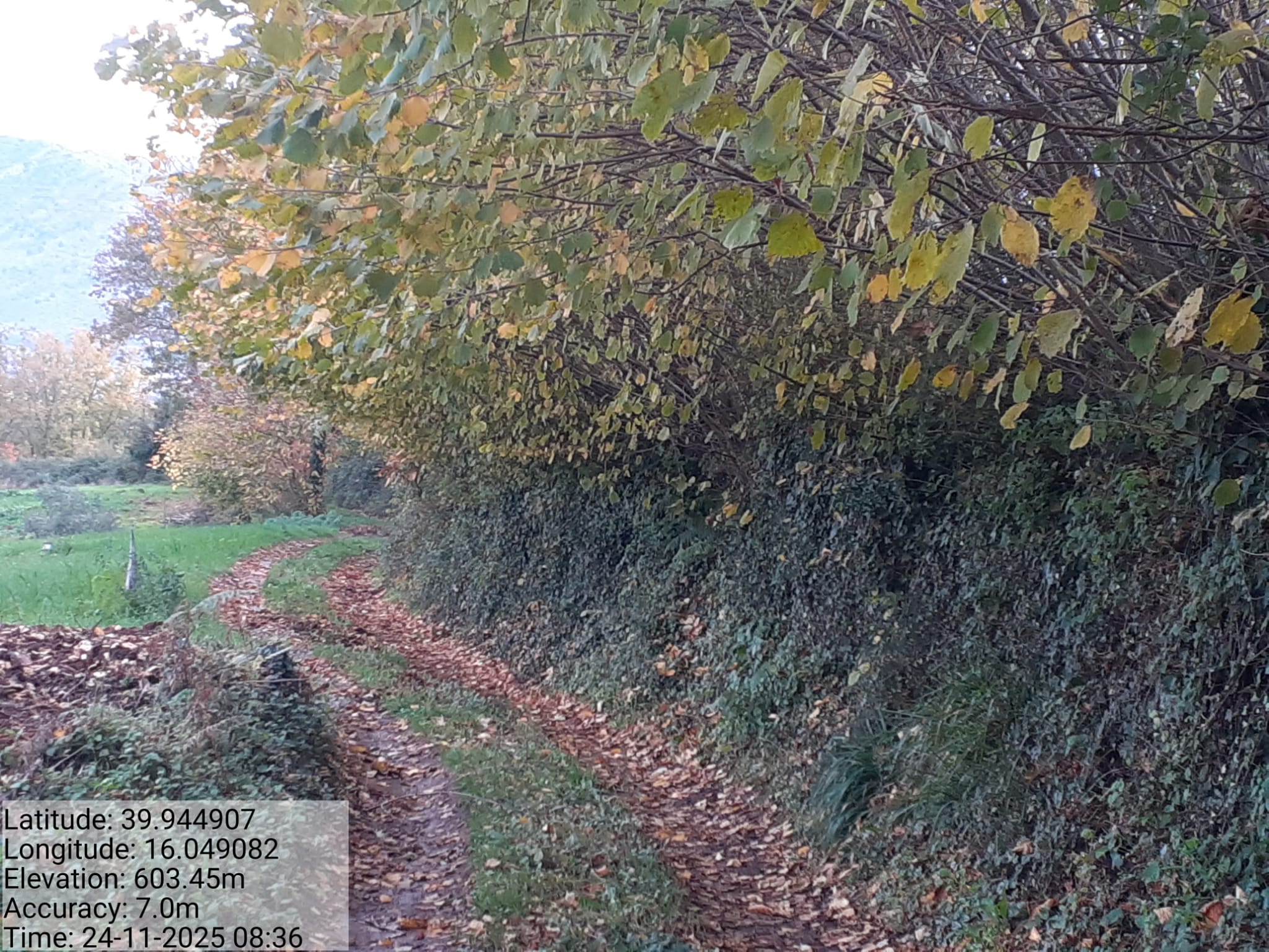 Galleria Fotografica Immagine