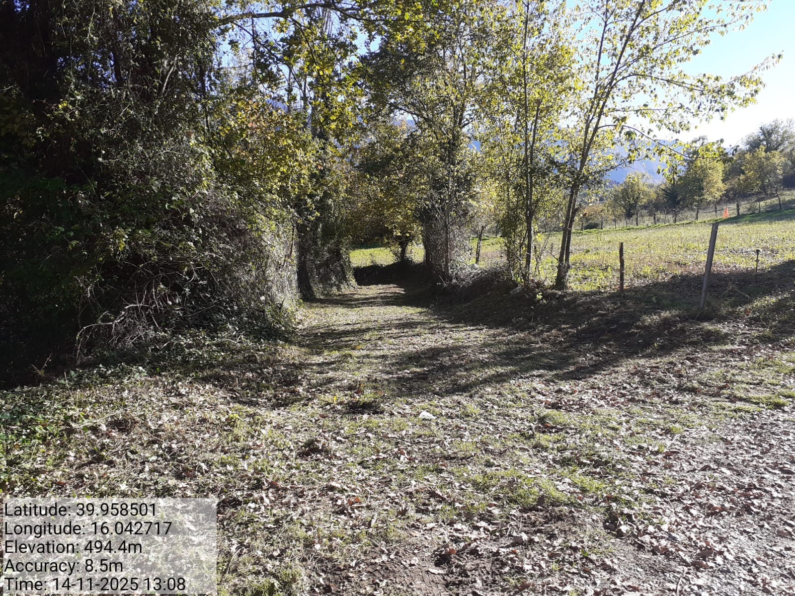 Galleria Fotografica Immagine