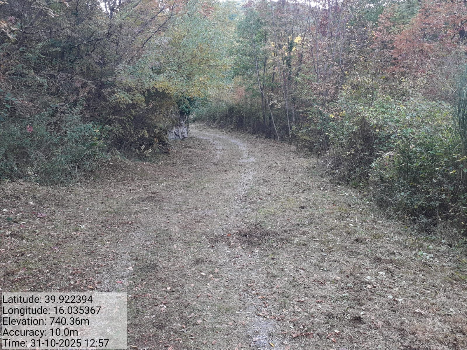 Galleria Fotografica Immagine