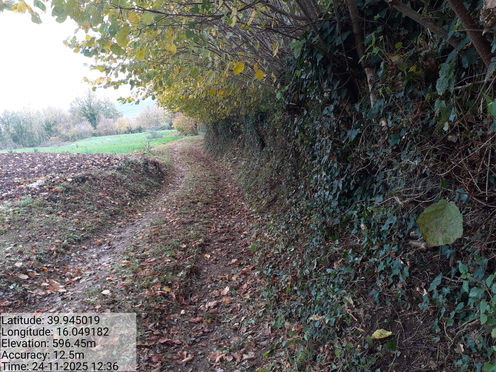 Galleria Fotografica Immagine