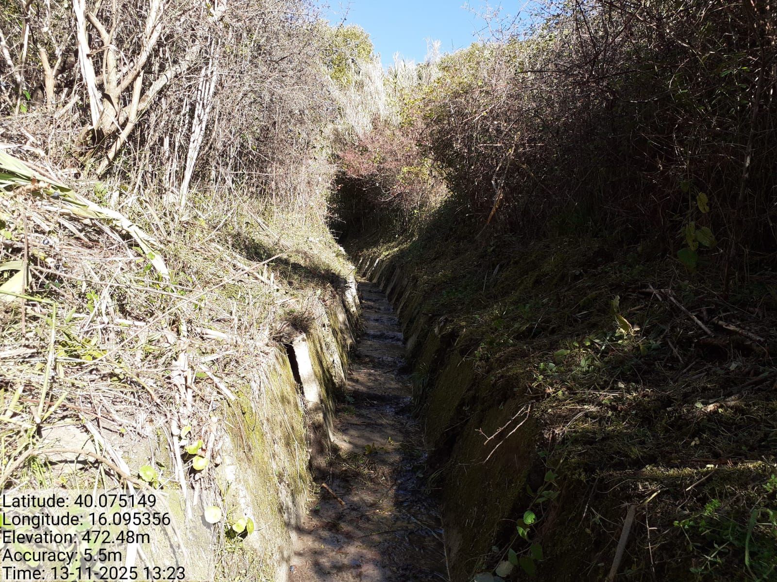 Galleria Fotografica Immagine