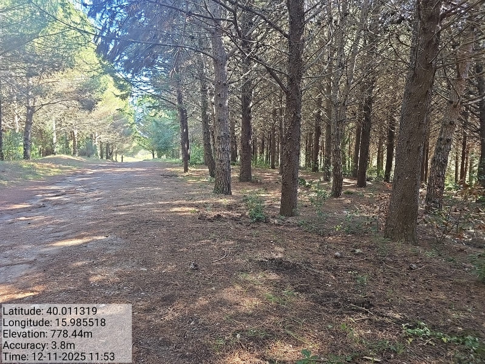 Galleria Fotografica Immagine