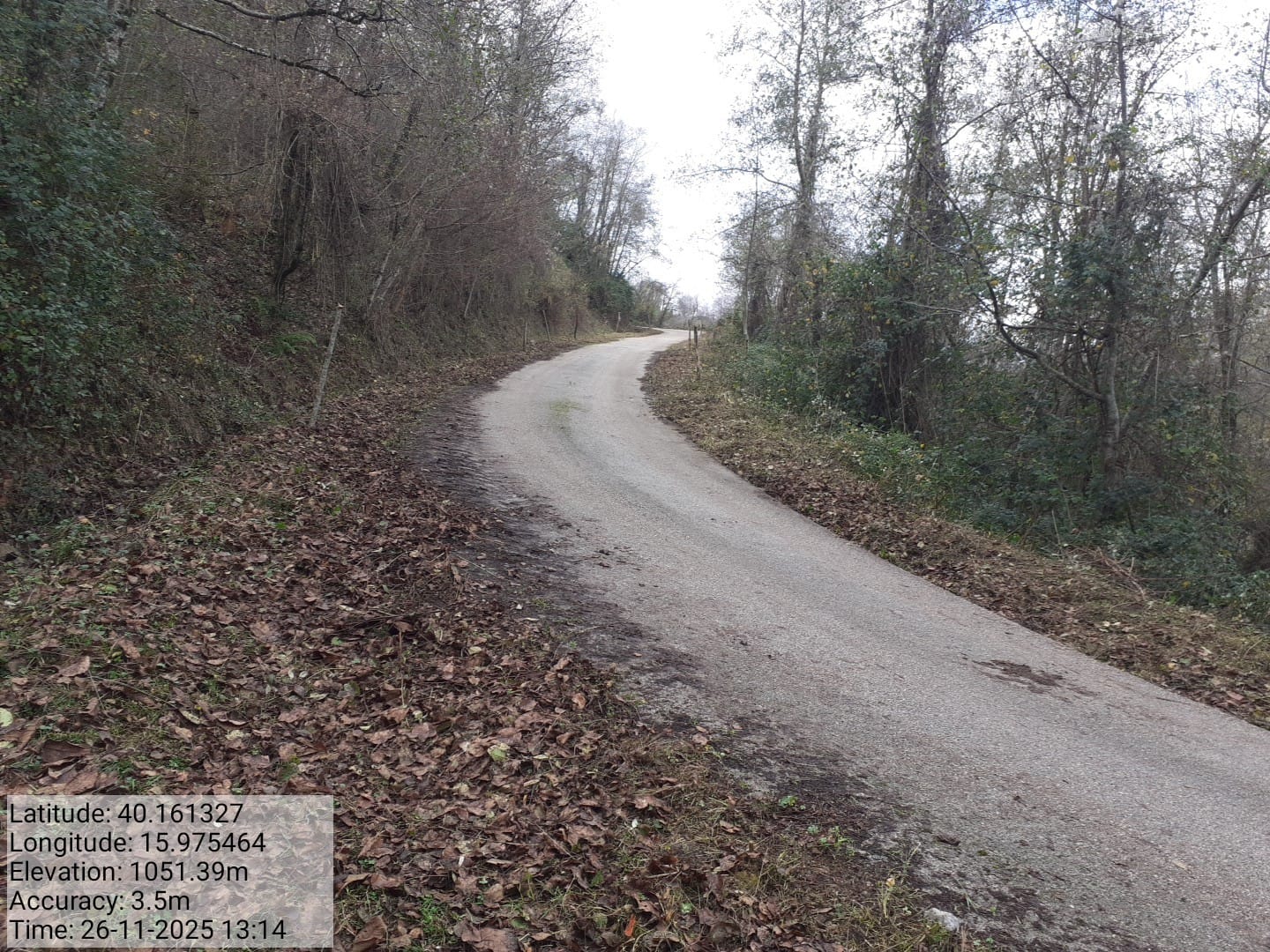 Galleria Fotografica Immagine