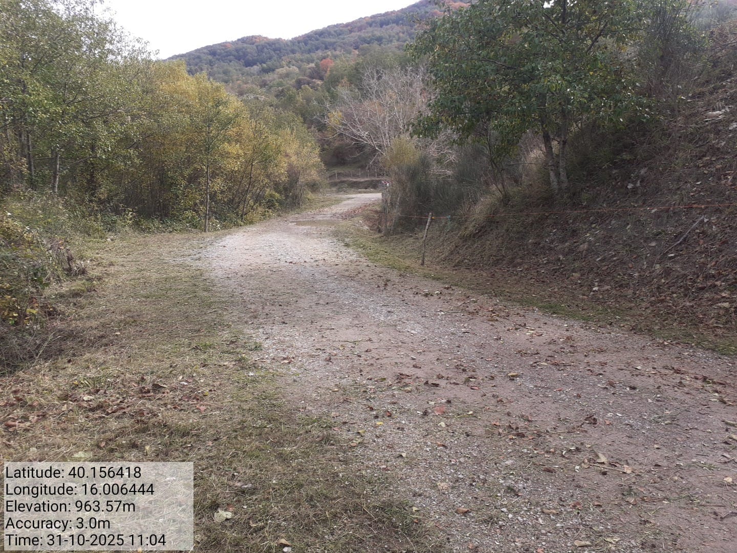 Galleria Fotografica Immagine