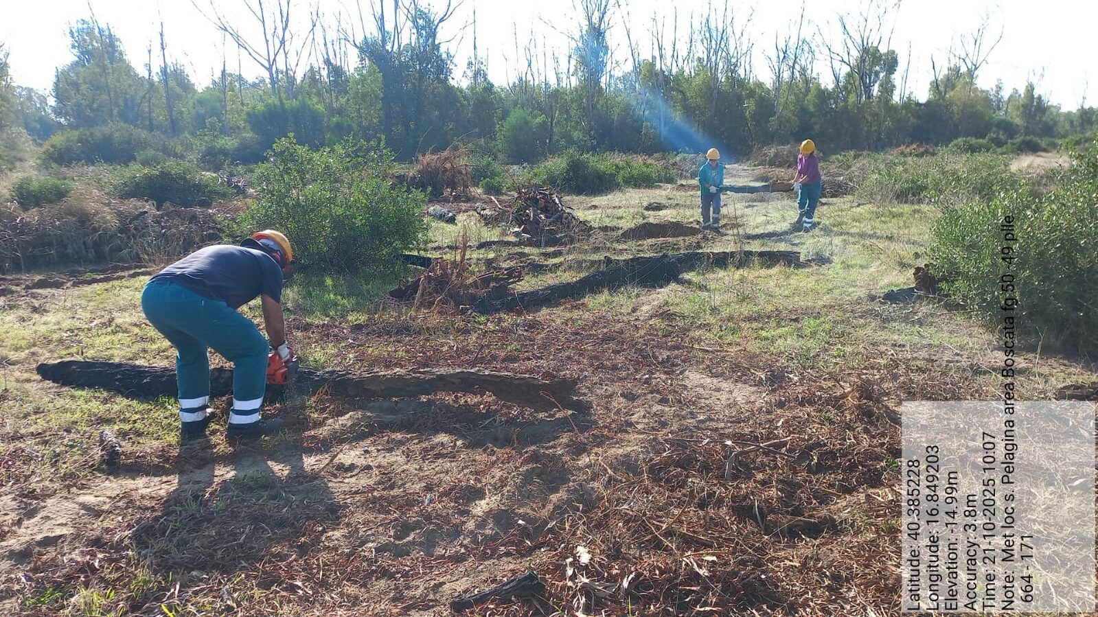 Galleria Fotografica Immagine