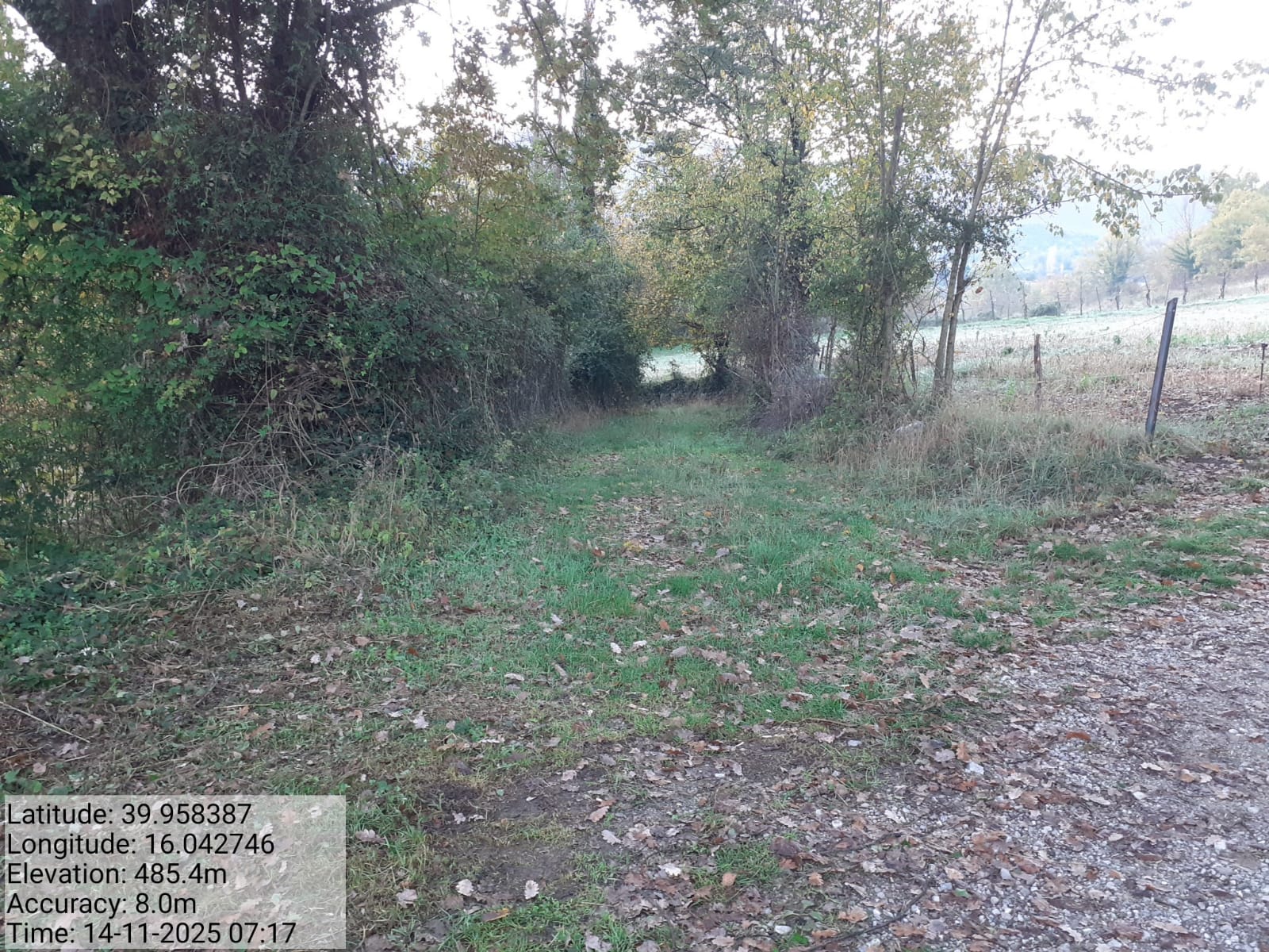 Galleria Fotografica Immagine