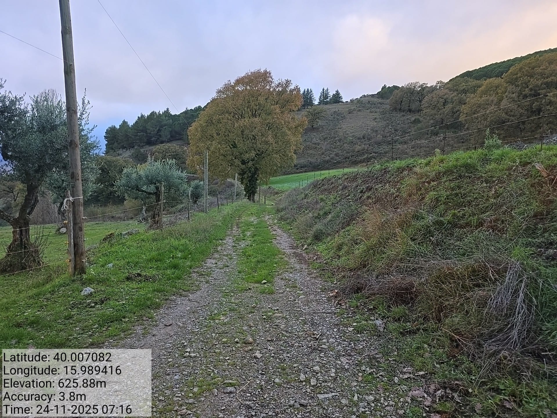 Galleria Fotografica Immagine