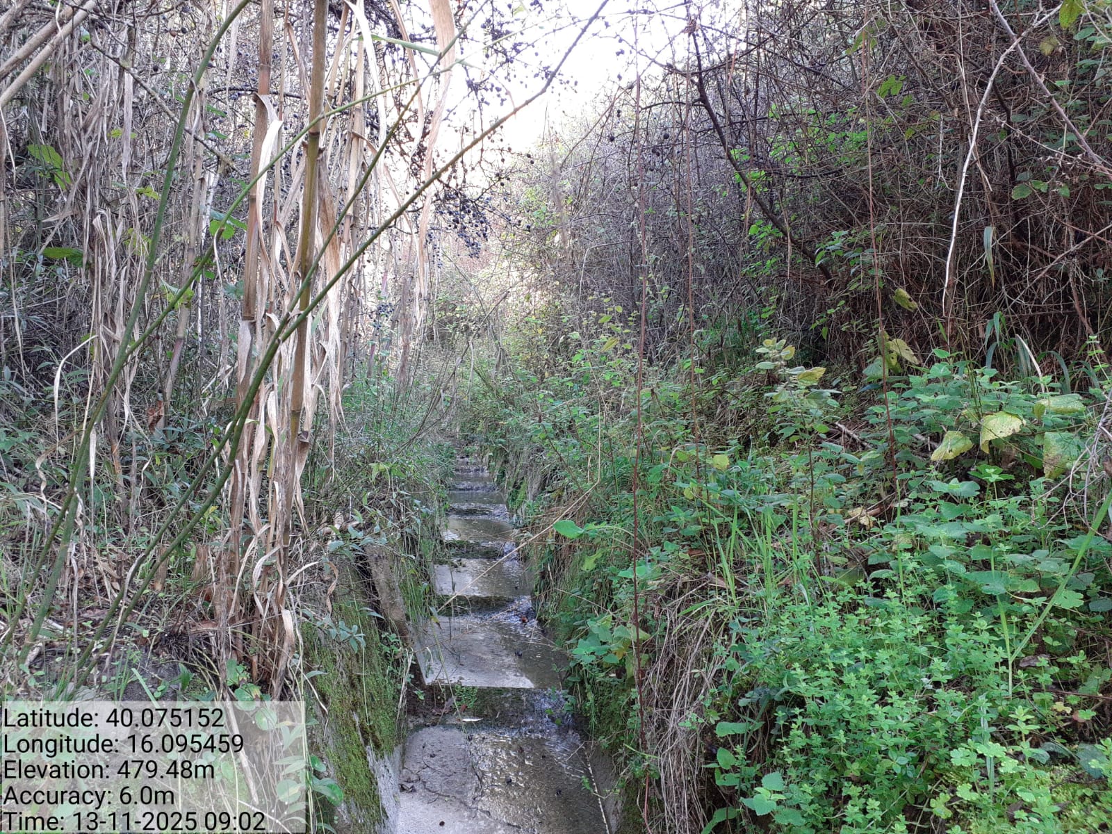 Galleria Fotografica Immagine