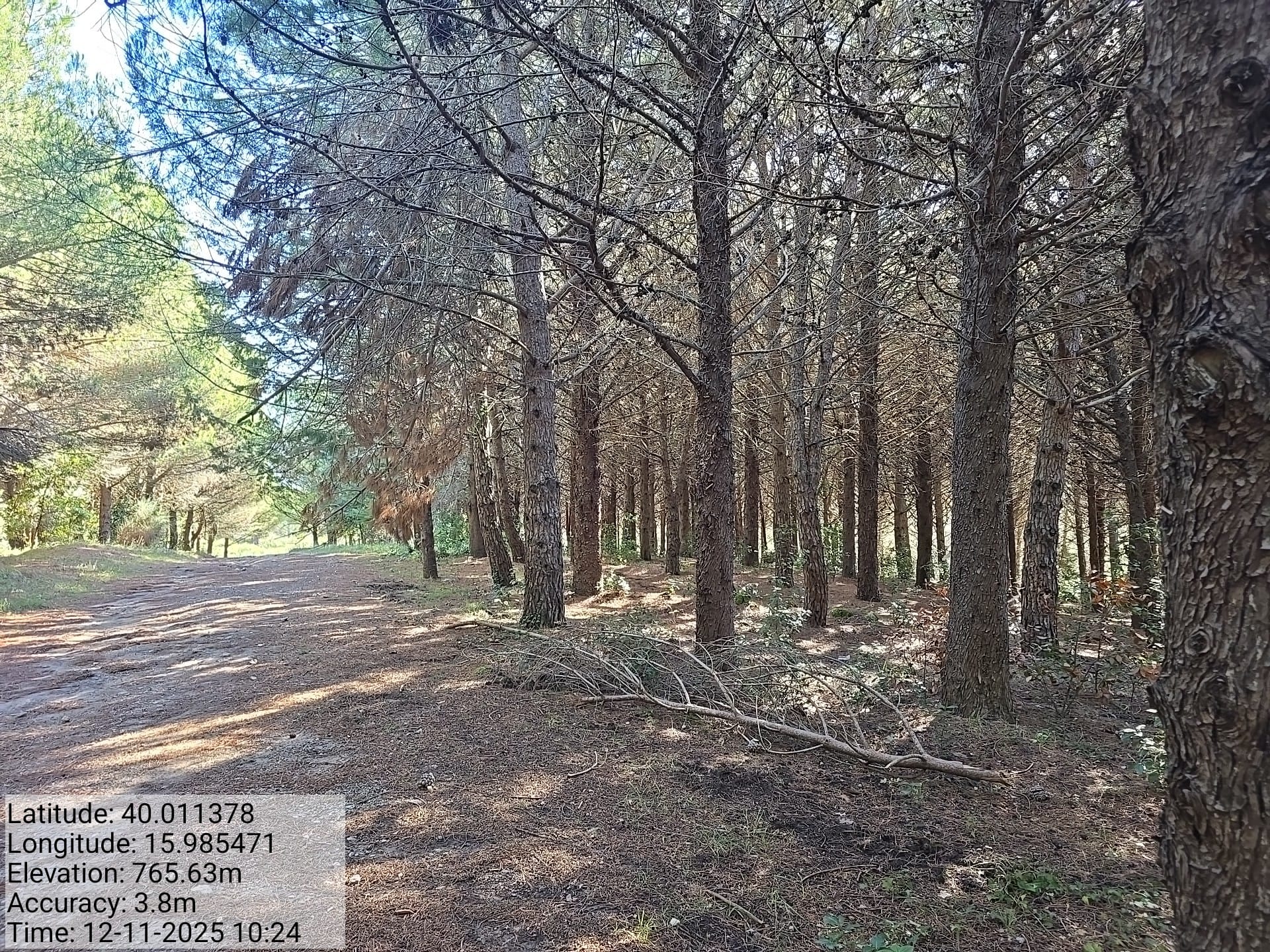 Galleria Fotografica Immagine