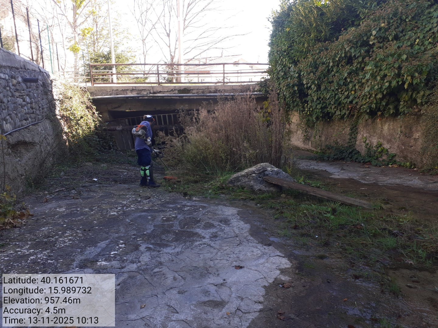 Galleria Fotografica Immagine