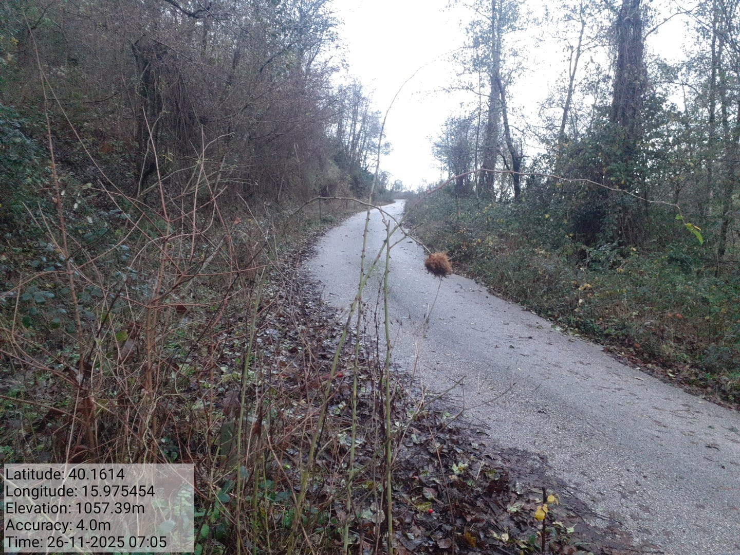 Galleria Fotografica Immagine