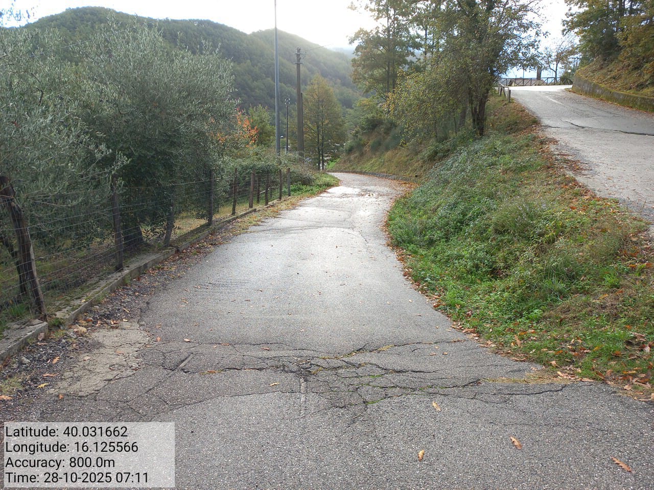 Galleria Fotografica Immagine