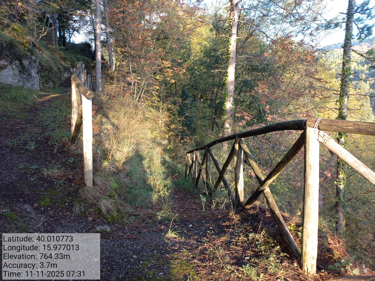 Galleria Fotografica Immagine