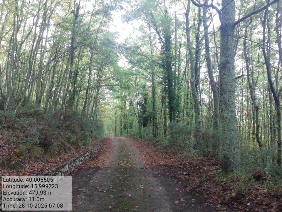 Galleria Fotografica Immagine