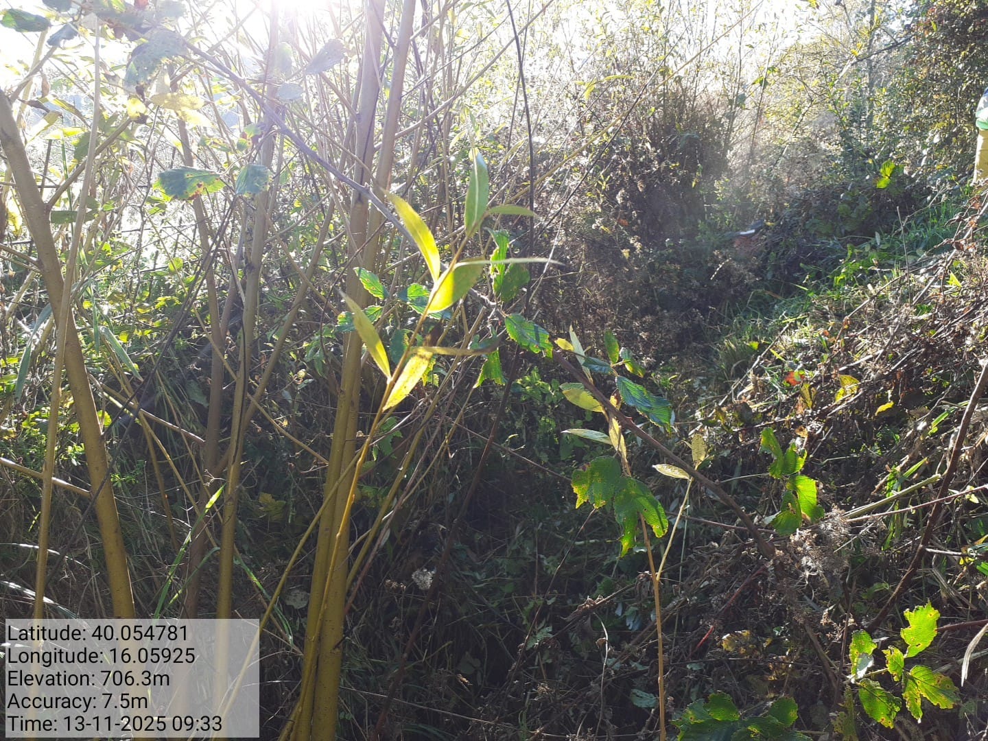 Galleria Fotografica Immagine