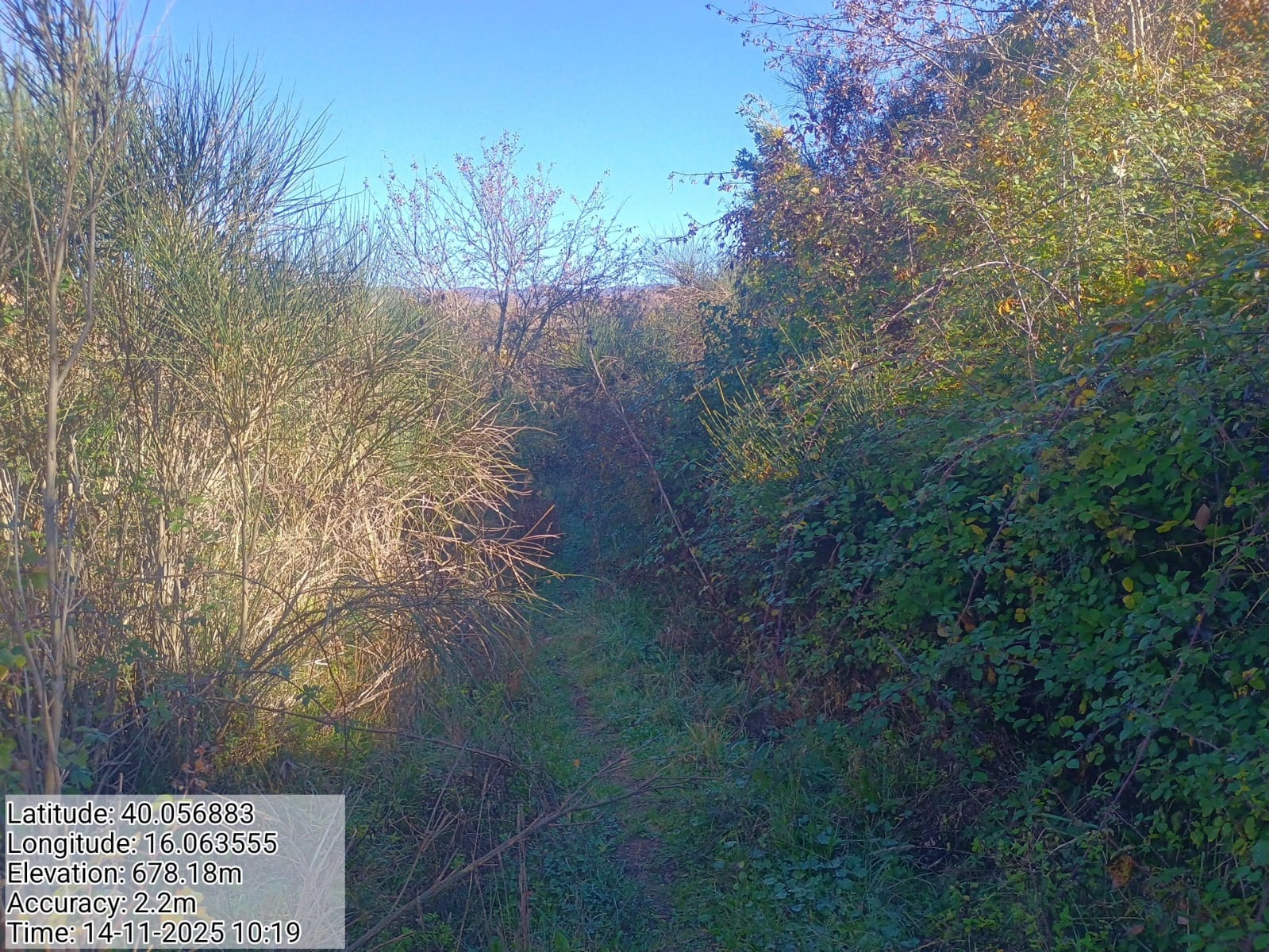 Galleria Fotografica Immagine