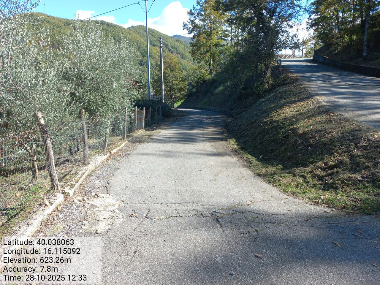 Galleria Fotografica Immagine