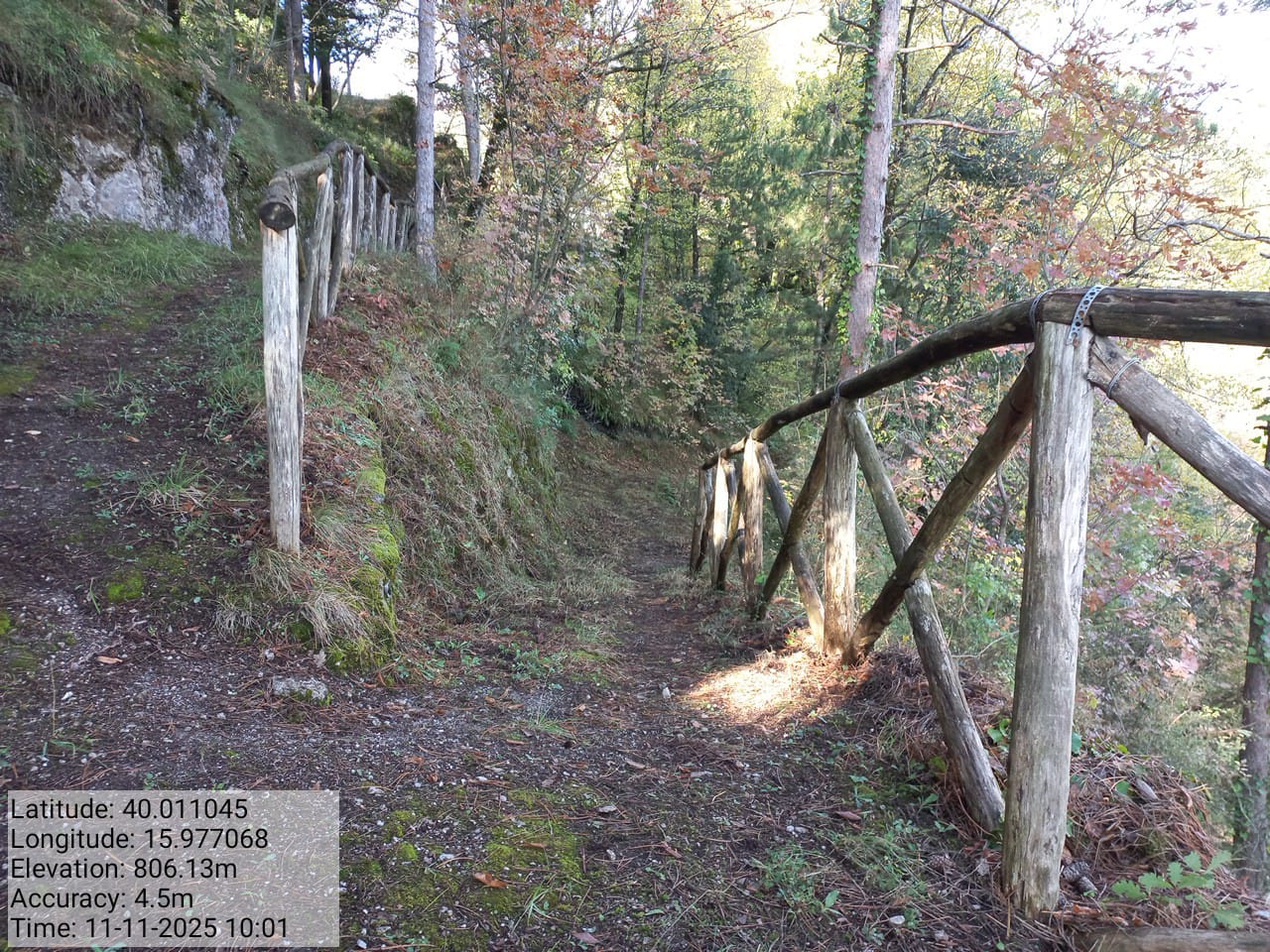 Galleria Fotografica Immagine