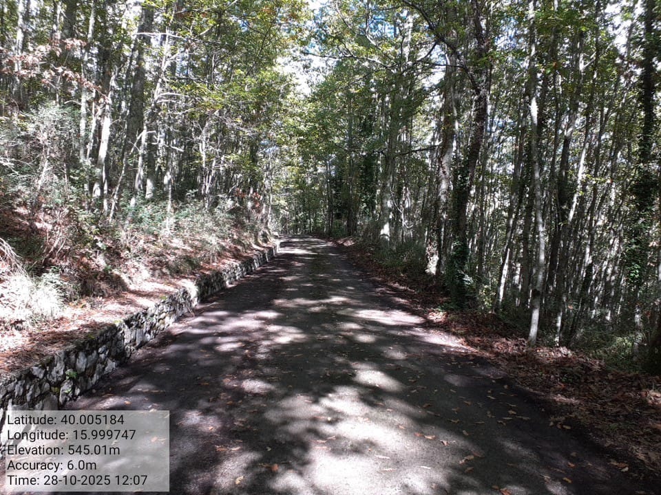 Galleria Fotografica Immagine