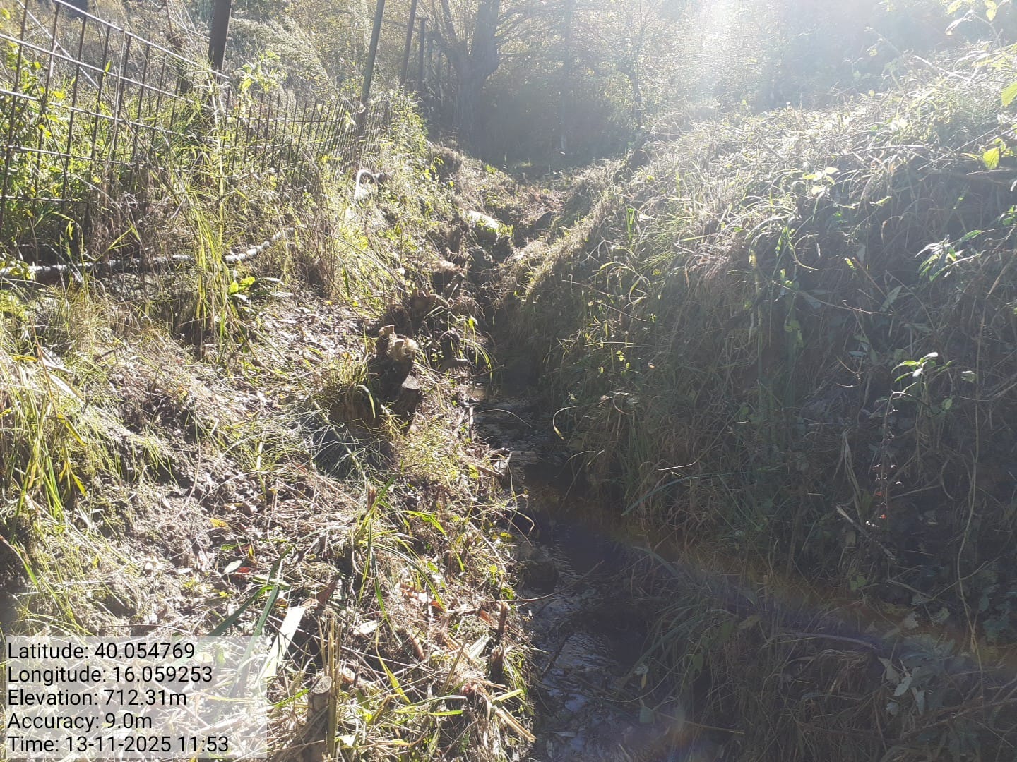 Galleria Fotografica Immagine