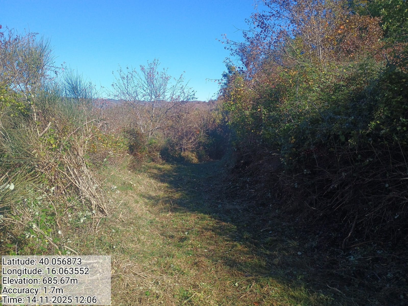 Galleria Fotografica Immagine