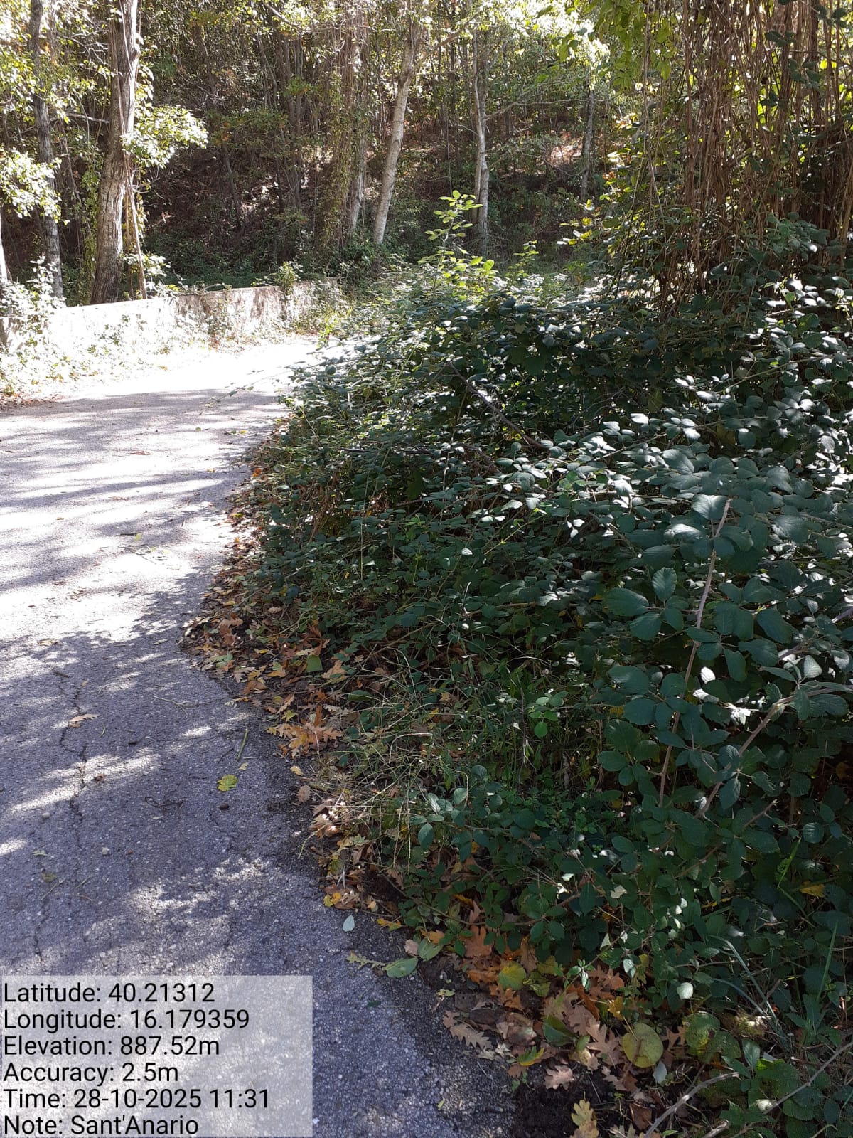 Galleria Fotografica Immagine