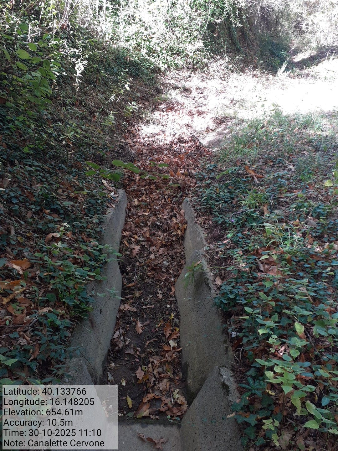 Galleria Fotografica Immagine