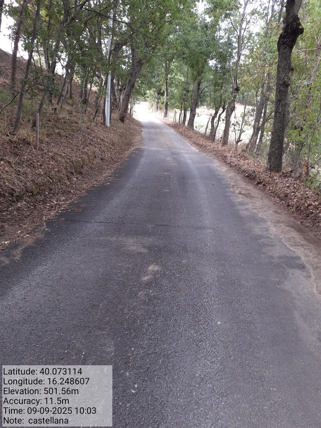 Galleria Fotografica Immagine