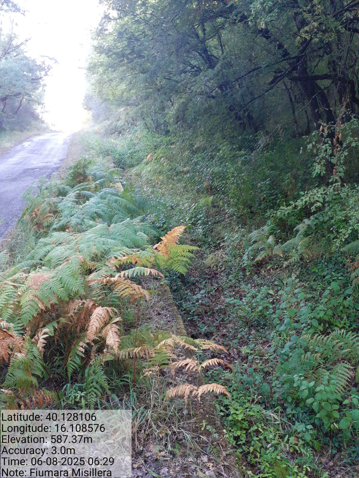 Galleria Fotografica Immagine