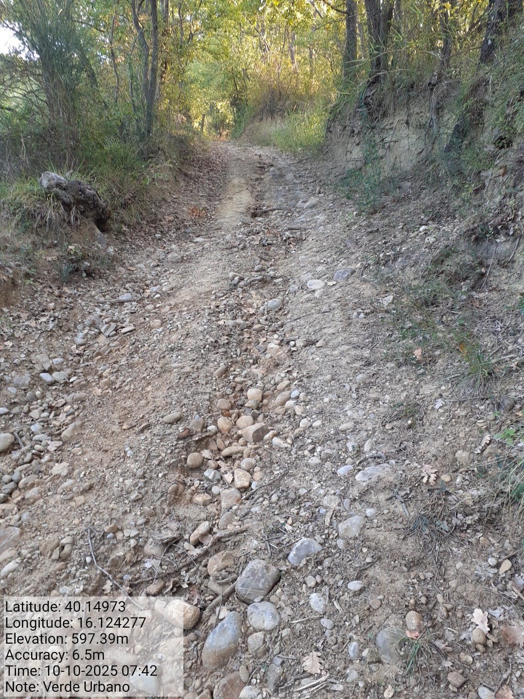 Galleria Fotografica Immagine