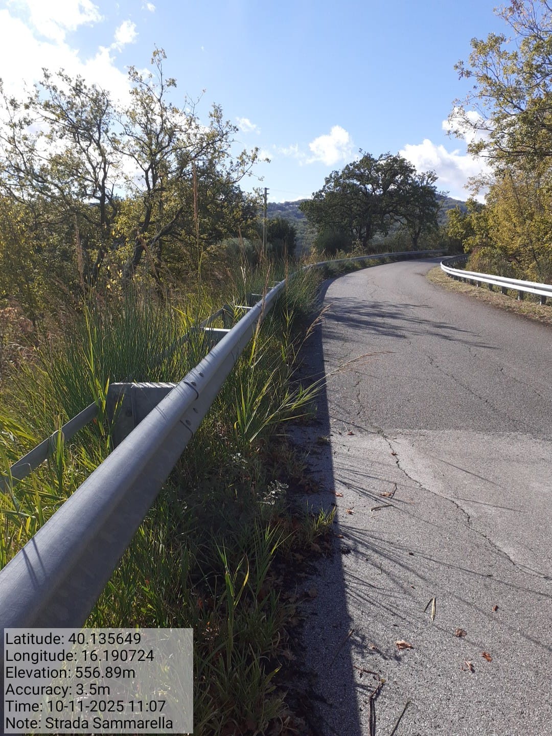 Galleria Fotografica Immagine