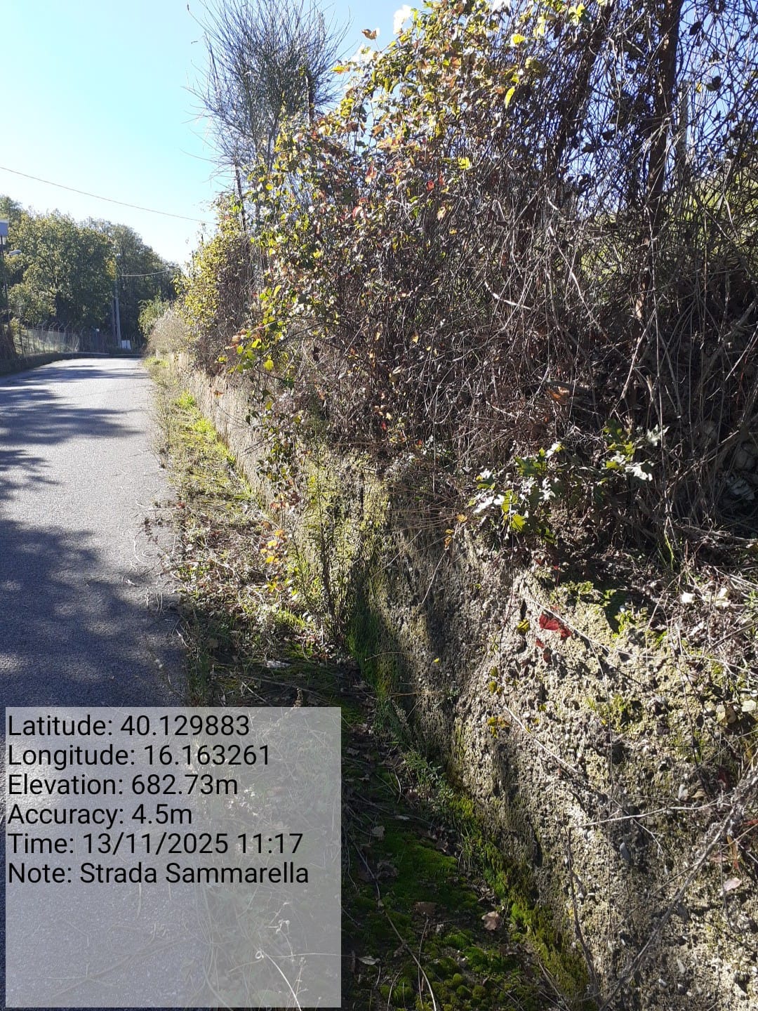 Galleria Fotografica Immagine