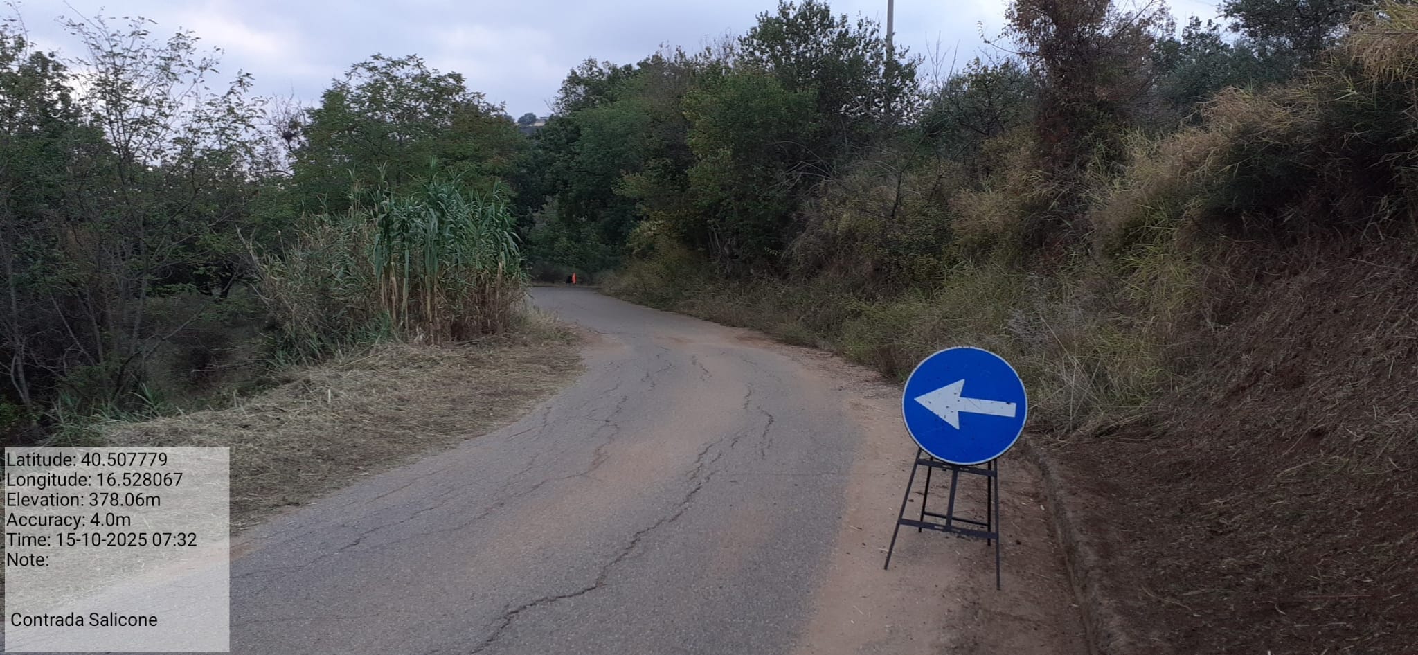 Galleria Fotografica Immagine